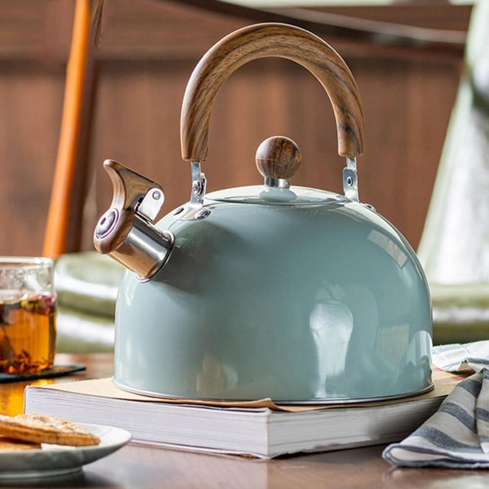 AuraBoil 2.5L Whistling Kettle Stainless Steel 1