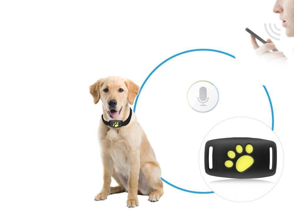 Cat GPS Tracker Compact Real-Time Location Device 2