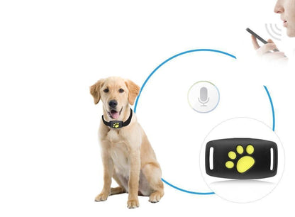 Cat GPS Tracker Compact Real-Time Location Device 2