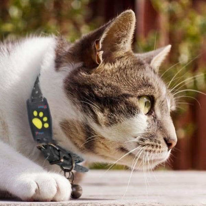 Cat GPS Tracker Compact Real-Time Location Device 3