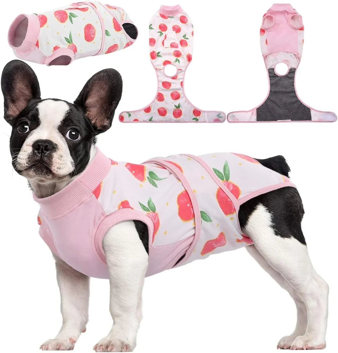 Dog Recovery Suit | Soft Post-Operative Healing Garment 0