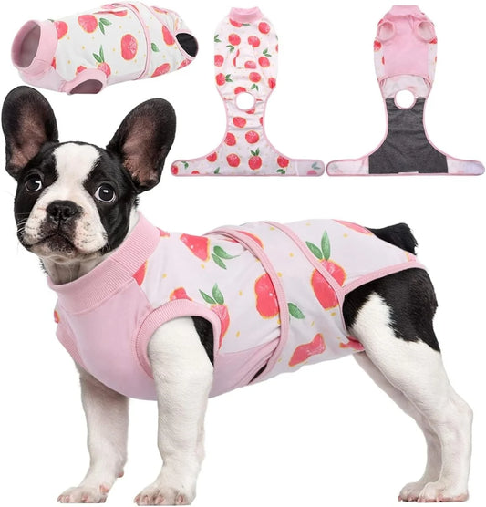 Dog Recovery Suit | Soft Post-Operative Healing Garment 0