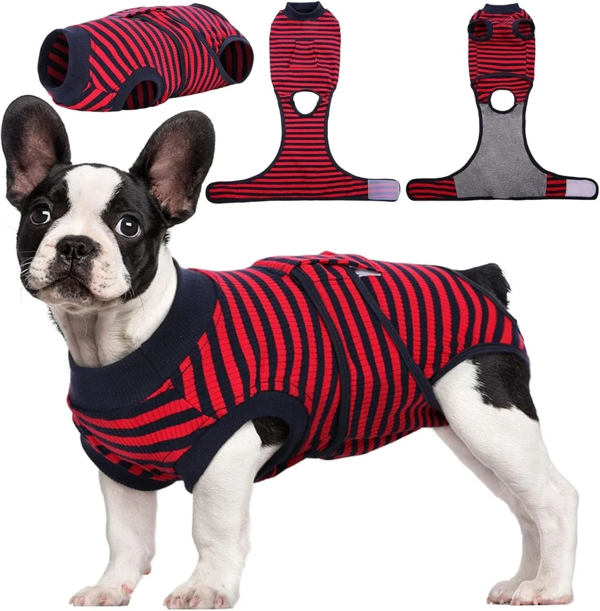 Dog Recovery Suit | Soft Post-Operative Healing Garment 2
