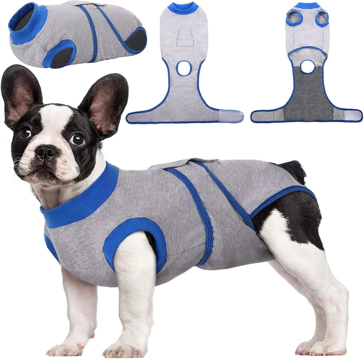 Dog Recovery Suit | Soft Post-Operative Healing Garment 5