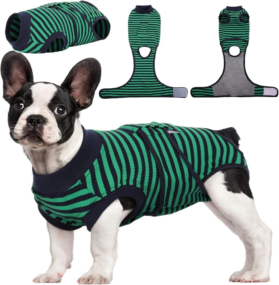 Dog Recovery Suit | Soft Post-Operative Healing Garment 6