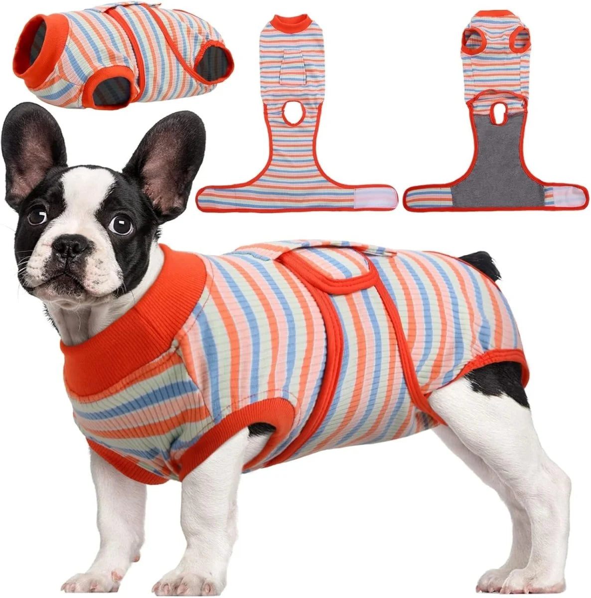 Dog Recovery Suit | Soft Post-Operative Healing Garment 7