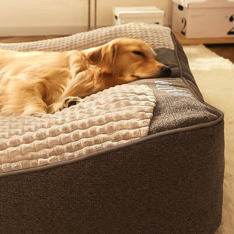 Large Orthopedic Dog Bed with Scratch-Resistant Cover 3
