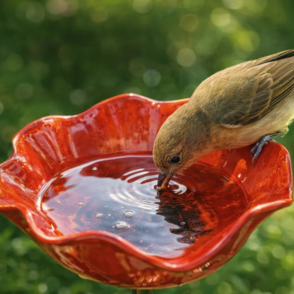 Metal Bird Bath Poppy Design | Garden and Balcony Decor 2