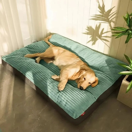 Orthopedic Dog Bed | Plush Supportive Resting Place 0