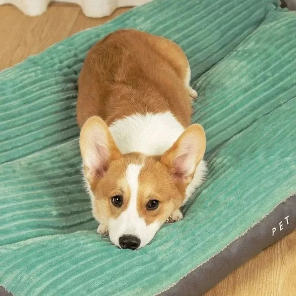 Orthopedic Dog Bed | Plush Supportive Resting Place 1