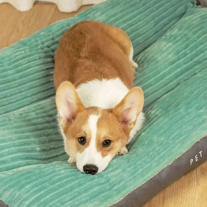 Orthopedic Dog Bed | Plush Supportive Resting Place 1