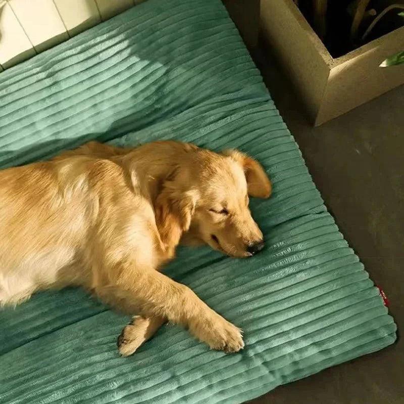 Orthopedic Dog Bed | Plush Supportive Resting Place 3